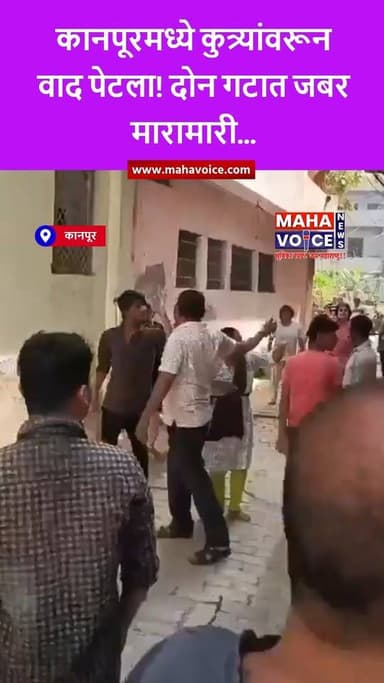 कानपूरमध्ये कुत्र्यांवरून वाद पेटला! दोन गटात जबर मारामारी...
यूपीतील कानपूरमध्ये कुत्र्यांना पळवण्याच्या वादातून दोन ग...