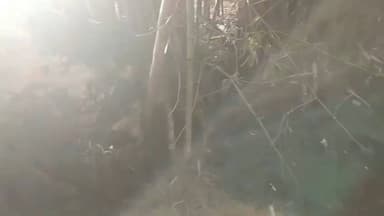 पट्टी: जोगीपुर गांव की किराने की दुकान में लगी आग, सारा सामान जलकर राख, मवेशी भी जले