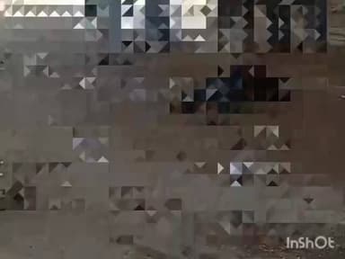 गोरखपुर: पिपराइच में भीषण सड़क हादसा: बाइक और पिकअप की जोरदार टक्कर, तीन युवक गंभीर रूप से घायल, इलाज के लिए अस्पताल में भर्ती