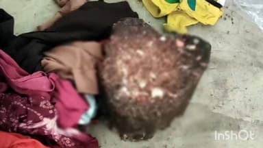 देवबंद: देवबंद में शक्तिपीठ के पास गोकशी की घटना, आरोपी फरार, पुलिस जांच में जुटी, भाजपा नेताओं ने कार्रवाई की मांग की