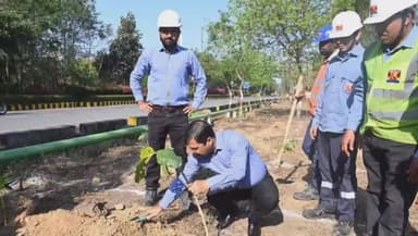 देवसर: बरगवां में वट का पौधा लगाकर लिनु पंचमन ने हिंडालको-महान इकाई की कमान संभाली