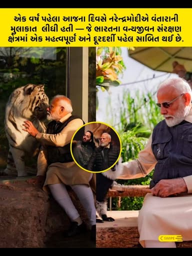 એક વર્ષ પહેલા આજના દિવસે નરેન્દ્રમોદીએ વંતારાની મુલાકાત લીધી હતી — જે ભારતના વન્યજીવન સંરક્ષણ ક્ષેત્રમાં એક મહત્વપૂર્ણ અ...