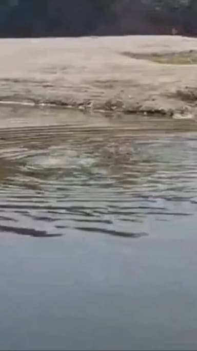 नरवल: महाराजपुर थाना क्षेत्र में गंगा नदी में नहाने गया 21 वर्षीय युवक डूबा, गोताखोरों की मदद से तलाश जारी