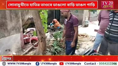 সোনামুখীতে হাতির তাণ্ডবে ভা*ঙ*লো বাড়ি ভা*ঙ*লো গাড়ি