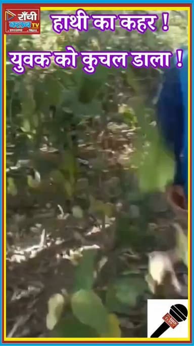 हाथी ने युवक को कु*च*ला | Ratu में दर्द*नाक मौ*त | Elephant Att*ack Jharkhand 😱
#RatuNews #ElephantAttack #Jharkhand