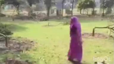 पिपरा: पिपरा में आपसी रंजिश में 15 फलदार पेड़ काटे, गाली-गलौज व मारपीट, बुजुर्ग महिला ने थाने में की शिकायत