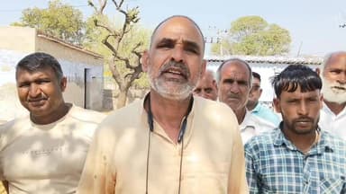 बाढ़डा :- जेवली गांव में एक दिन में उजड़ गई पूंजी: किसान की तीन भैंसों की दर्दनाक मौत...