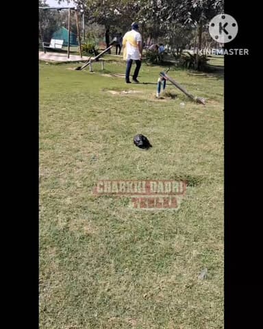 सावधान! दादरी रोज गार्डन में फिर वही लापरवाही? पुलिस और प्रशासन कब जागेगा?