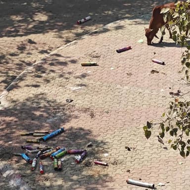 આ વાડી પ્લોટ હોલિકા દહન સ્થળનો સવારનો નજારો છે. જ્યાં તેમણે આટલો બધો કચરો ફેલાવ્યો છે. હવે ગાયો તેની આસપાસ ફરે છે.
ગઈક...