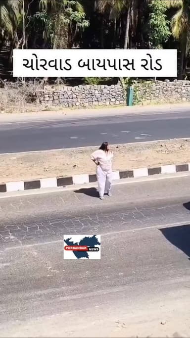 ચોરવાડ બાયપાસ પર ભેસ હડકાઈ