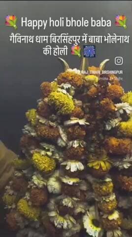 🚩har har mahadev 🎆
💐happy holi bhole 🙏