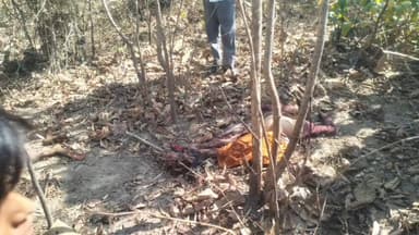 बरघाट: बरघाट के पांढरवानी गांव में बाघ के हमले से महिला की मौत, पुलिस और वन विभाग को दी सूचना