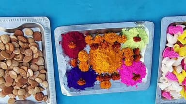 চণ্ডীতলা ১: চণ্ডীতলা ২ নং ব্লকে মহিলা তৃণমূলের উদ্যোগে বসন্ত উৎসব ও খেলা হবে দিবস পালিত