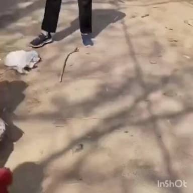 ऊंचाहार: बाबा का पुरवा इटौरा बुजुर्ग गाँव में जमीनी विवाद के दौरान हुए खूनी संघर्ष में 4 लोग घायल, केस दर्ज