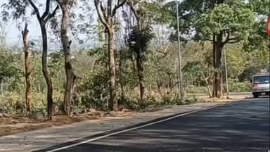 ନୀଳଗିରି: ନୀଳଗିରି ସହର ମଧ୍ୟରେ ମଙ୍ଗଳା ମନ୍ଦିର ପଛ ପଟରେ ଥିବା ସ୍ଵର୍ଣ୍ଣଚୁଡ଼ ପାହାଡ଼ ପାଦ ଦେଶରେ ପ୍ରଥମେ ନିଆଁ ଲାଗି ପାହାଡ଼ ଉପରକୁ ବ୍ୟାପିଛି