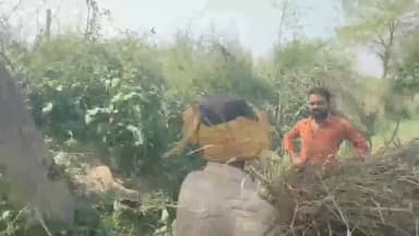 अमृतपुर: रतनपुर पमारन में हरी शीशम काटने को लेकर दो पक्ष आपस में भिड़े, मामला थाने पहुंचा, शांति भंग की हुई कार्रवाई