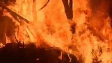 संपतचक: फतेहपुर में पुनपुन नदी तट पर सदियों पुरानी परंपरा के साथ होलिका दहन और फगुआ उत्सव सम्पन्न