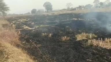 ବୌଦ୍ଧ ସଦର: କୋଇଲି ସୁତା ଗ୍ରାମରେ ଧାନ ବିଲରେ ନିଆଁ ଲାଗି ଚାଷୀଙ୍କ ଚଣା ଓ ହରଡ ଫସଲ ନଷ୍ଟ