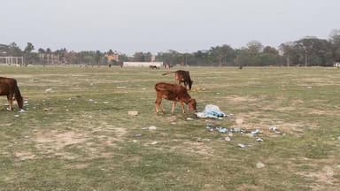 আলিপুরদুয়ার প্যারেড গ্রাউন্ডে অ্যা*কশন, তবে মাঠ প্রায় ৯০% ফাঁকা। পুলিশের ভাূমিকায় সাদুবাদ
Alipurduar District Police ...