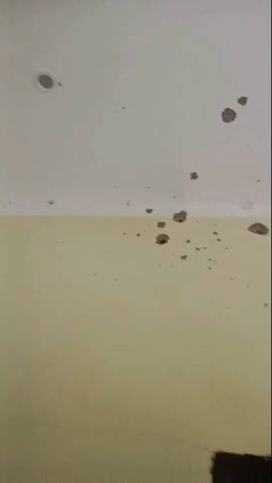 बड़हिया: बड़हिया थाना क्षेत्र में आधी रात फायरिंग का आरोप, पीड़ित ने थाने में दर्ज कराई शिकायत