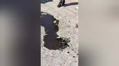 अकोला: शहरातील मध्यवर्ती ठिकाण असलेल्या गौरक्षण रोडवर, वैभव हॉटेल समोर आज अग्निशामक दलाच्या गाडीचा भीषण अपघात