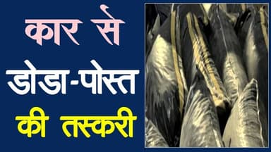कार से डोडा-पोस्त की तस्करी | car se dodachura ki taskari | swipt car #dodachura #jodhpur_rajsthan