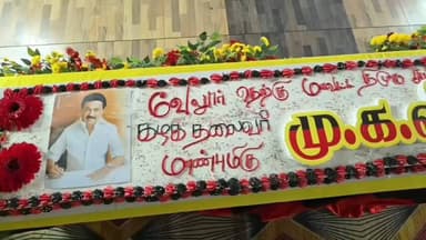 வேலூர்: தோட்டப்பாளையம் பகுதியில் உள்ள மாவட்ட திமுக அலுவலகத்தில் முதலமைச்சர் பிறந்தநாள் விழா கொண்டாட்டம் கோலாகலம்