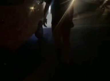 ਹੁਸ਼ਿਆਰਪੁਰ: ਪਿੰਡ ਖਡਿਆਲਾ ਸੈਣੀਆਂ ਨਜ਼ਦੀਕ ਕਿਸੇ ਵਾਹਨ ਦੀ ਲਪੇਟ ਵਿੱਚ ਆਉਣ ਕਾਰਨ ਮੋਟਰਸਾਈਕਲ ਸਵਾਰ ਹੋਇਆ ਜ਼ਖਮੀ