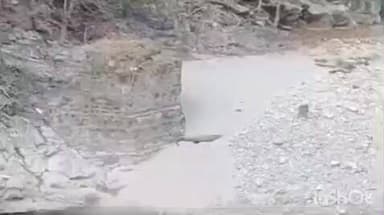 स्याल्दे: क्रोकोडाइल प्वाइंट पर मगरमच्छ ने किया हमला, हिरण को बनाया शिकार, वन विभाग ने जारी की चेतावनी