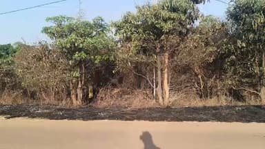 ଝାରସୁଗୁଡା: ଝାରସୁଗୁଡ଼ା ଜିଲ୍ଲାର ତାଲମାଲ୍ ନିକଟ ଜଙ୍ଗଲରେ ନିଆଁ, ଦମକଳ ବାହିନୀର ତୁରନ୍ତ କାର୍ଯ୍ୟରେ ନିୟନ୍ତ୍ରଣ