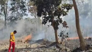 ଗୋବିନ୍ଦପୁର: ନୁନିଆମୁଣ୍ଡା ସ୍ଥିତ ୟୁକାଳୀ ପୋଟାସ ନର୍ସରୀ ରେ ଲାଗିଲା ନିଆଁ, ଆୟତ୍ତ କଲେ ଦମକଳ ବାହିନୀ