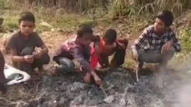 हाटा: हाटा तहसील में अनोखी होली: रंगों से पहले होलिका की राख से मस्ती