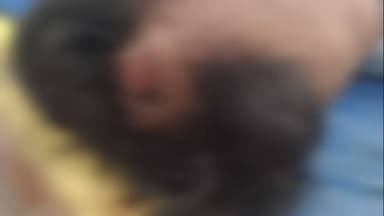 નાંદોદ: આમલેથા ગામે પેટ્રોલ પંપ પર ઉધાર CNG ગેસ પુરી ન આપતા કર્મચારી પર પાઇપ પડ્યો હુમલો.