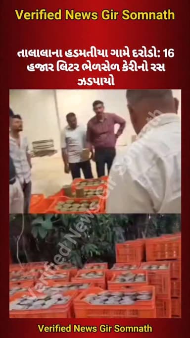 તાલાલાના હડમતીયા ગામે દરોડો: 16 હજાર લિટર ભેળસેળ કેરીનો રસ ઝડપાયો
#girsomnath #talala #mengo #keri #girsomnathpolice