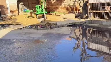 #नवलगढ नगरपालिका प्रशासन दे ध्यान, नया बाज़ार से आया वीडियो