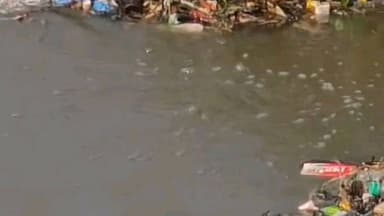 हातकणंगले: इंगळीतील ऐतिहासिक पाचमोट विहिरीत पोकलँडसह चालक कोसळला, बचावकार्य युद्धपातळीवर सुरू