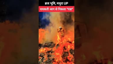 🙏 भक्ति की शक्ति 🙏 धधकती आग से निकला पंडा 🙏 #shorts #holi #holispecial #holi2026 #shortsfeed #radha