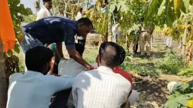 शहादा: कहाटूळ गावाजवळ शेतात तब्बल 23 दिवसांपासून बेपत्ता महिलेचा आढळला मृतदेह