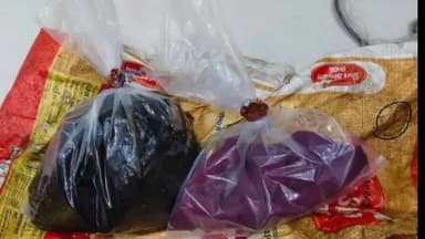 मनासा: मनासा में सीबीएन की संयुक्त कार्रवाई, 3 किलो अवैध अफीम के साथ तस्कर गिरफ्तार