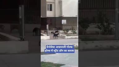 ग्रेनोवेस्ट आम्रपाली गोल्फ होम्स में स्ट्रीट डॉग का कब्जा | Dog Issues | Dog Lover |