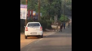 பந்தலூர்: சரஸ்வதி பள்ளி அருகே சாலையை கடந்து செல்லும் காட்டு யானை