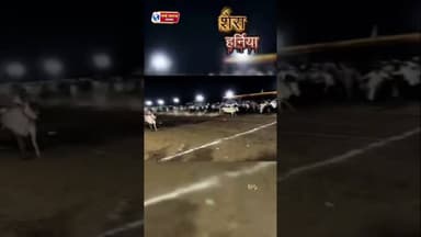 हर्निया vs सेरा #हरदा #viralvideos #मध्यप्रदेश❣️ #HARDA