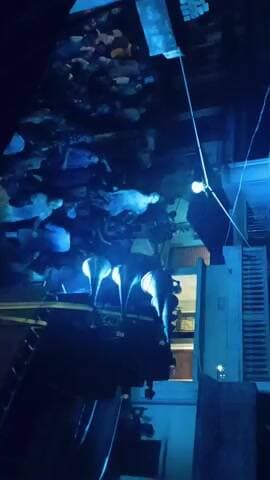 पतरातू जयनगर कुम्हार टोली में कपड़ा फाड डांस हुआ