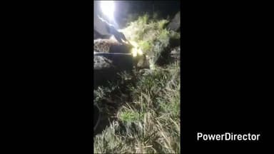 नाहन: सतीवाला तेंदुआ हमला मामले में फार्म मालिक और कर्मी पर नाखून काटने का आरोप, परिवारजनों ने आरोपों को नकारा