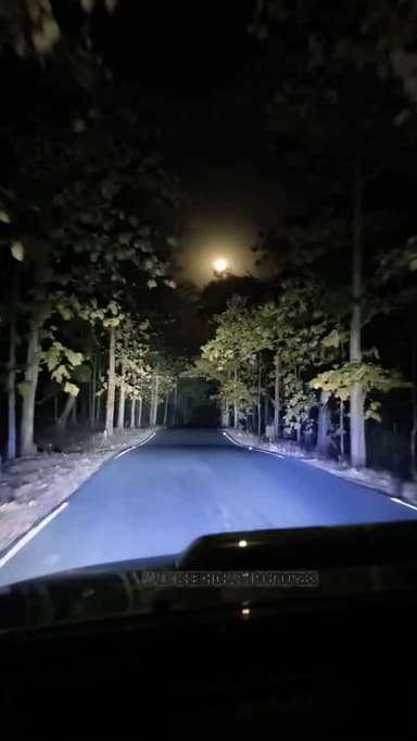 धारणी–परतवाड़ा रोड…
रात की खामोशी में भी जहां पहाड़ों की परछाइयां, ठंडी हवाओं की सरसराहट और सड़कों की चमकती लकीरें मिलकर...