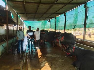 🔳सफलता की कहानी
🔳एकीकृत कृषि प्रणाली से स्लीमनाबाद के पुरुषोत्तम ठाकुर ने खेती को बनाया ‘मुनाफे का धंधा’
🔳कटनी – अक्सर...