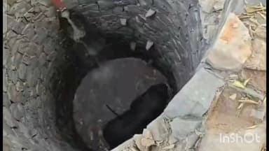 କେନ୍ଦୁଝର ସହର: ବନାଯୋଡ଼ି ଗାଁର ଏକ କୂଅରେ ହାତୀ ଫସି ରହିଛି ,ବନ ବିଭାଗ ପକ୍ଷରୁ ଉଦ୍ଧାର କାର୍ଯ୍ୟ ଜାରି