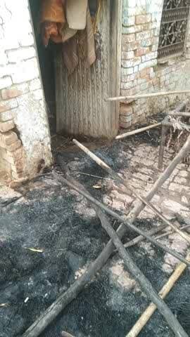 अज्ञात आदमी ने भैंस की सर में दि आग