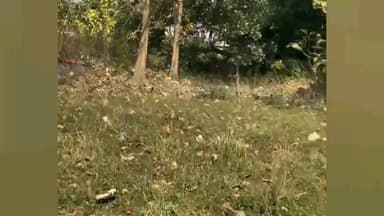 ଦେବଗଡ: ରେଙ୍ଗାଲବେଡା ନିକଟ ଜଙ୍ଗଲରେ ନିଆଁ ଲଗାଇଲେ ଜଣେ ମହିଳା, ପ୍ରତିବାଦ କଲେ ସ୍ଥାନୀୟ ଯୁବକ