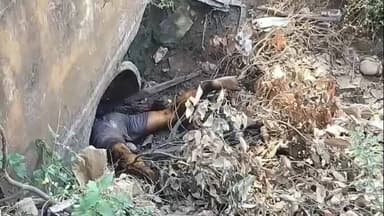 నూజివీడు నుండి విసన్నపేట వెళ్లే రోడ్లో ఆంజనేయస్వామి గుడి వద్ద గుర్తుతెలియని మృతదేహం లభ్యం